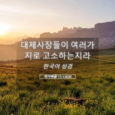 Picture 05 - 마가복음 15:3 KOR - 대제사장들이 여러가지로 - Bible Verse Picture