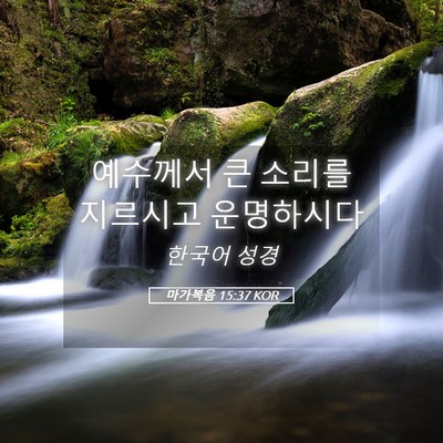 Picture 05 - 마가복음 15:37 KOR - 예수께서 큰 소리를 지르시고 - Bible Verse Picture