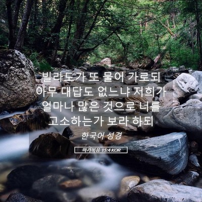 Picture 05 - 마가복음 15:4 KOR - 빌라도가 또 물어 가로되 아무 - Bible Verse Picture