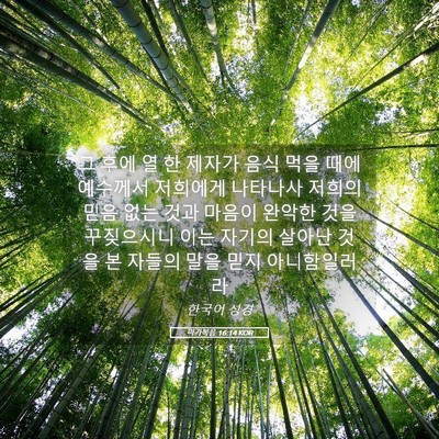 Picture 05 - 마가복음 16:14 KOR - 그 후에 열 한 제자가 음식 먹을 때에 - Bible Verse Picture