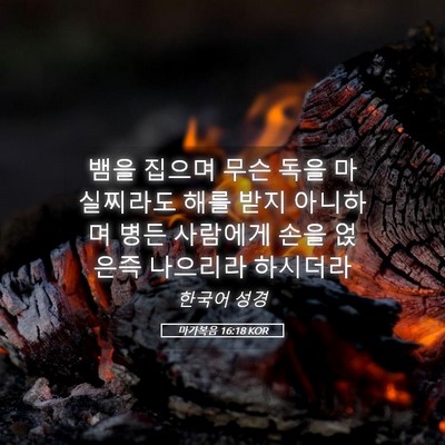 Picture 05 - 마가복음 16:18 KOR - 뱀을 집으며 무슨 독을 마실찌라도 - Bible Verse Picture