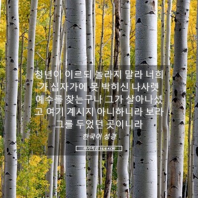 Picture 05 - 마가복음 16:6 KOR - 청년이 이르되 놀라지 말라 너희가 - Bible Verse Picture