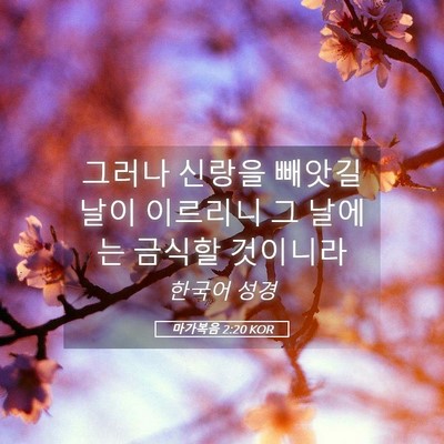 Picture 05 - 마가복음 2:20 KOR - 그러나 신랑을 빼앗길 날이 이르리니 - Bible Verse Picture