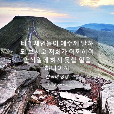 Picture 05 - 마가복음 2:24 KOR - 바리새인들이 예수께 말하되 보시오 - Bible Verse Picture