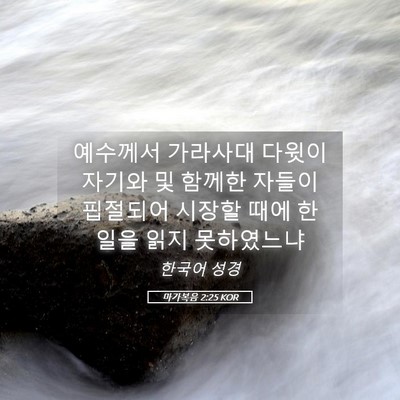 Picture 05 - 마가복음 2:25 KOR - 예수께서 가라사대 다윗이 자기와 및 - Bible Verse Picture