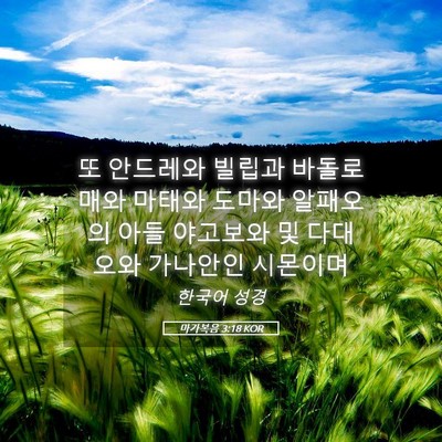 Picture 05 - 마가복음 3:18 KOR - 또 안드레와 빌립과 바돌로매와 - Bible Verse Picture