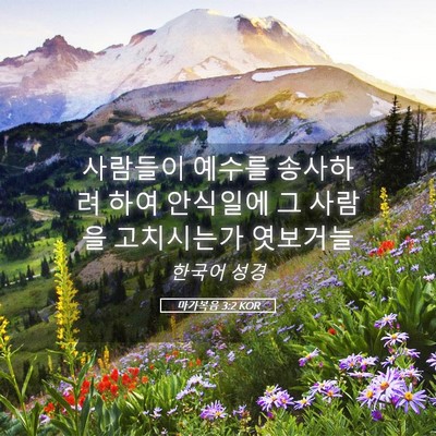 Picture 05 - 마가복음 3:2 KOR - 사람들이 예수를 송사하려 하여 - Bible Verse Picture
