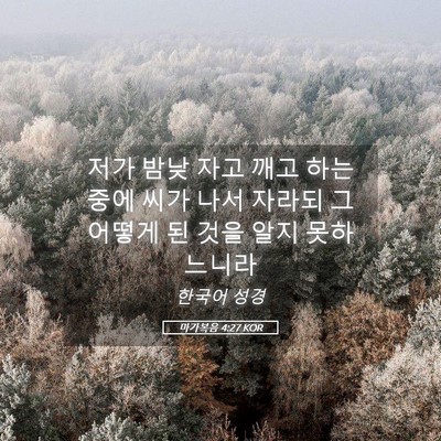 Picture 05 - 마가복음 4:27 KOR - 저가 밤낮 자고 깨고 하는 중에 씨가 - Bible Verse Picture