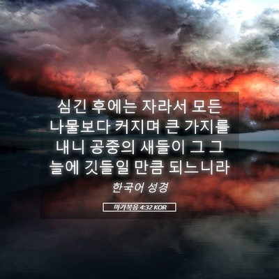 Picture 05 - 마가복음 4:32 KOR - 심긴 후에는 자라서 모든 나물보다 - Bible Verse Picture