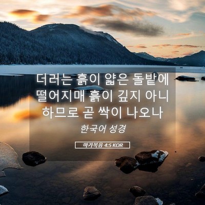Picture 05 - 마가복음 4:5 KOR - 더러는 흙이 얇은 돌밭에 떨어지매 - Bible Verse Picture