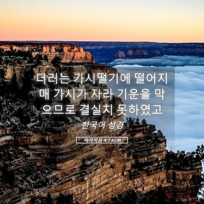 Picture 05 - 마가복음 4:7 KOR - 더러는 가시떨기에 떨어지매 가시가 - Bible Verse Picture