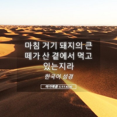 Picture 05 - 마가복음 5:11 KOR - 마침 거기 돼지의 큰 떼가 산 곁에서 - Bible Verse Picture