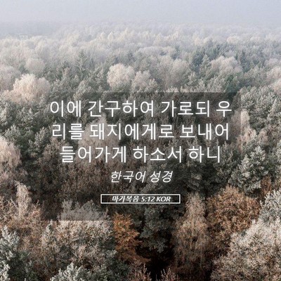 Picture 05 - 마가복음 5:12 KOR - 이에 간구하여 가로되 우리를 - Bible Verse Picture