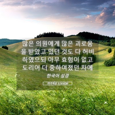 Picture 05 - 마가복음 5:26 KOR - 많은 의원에게 많은 괴로움을 받았고 - Bible Verse Picture