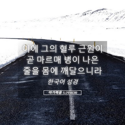 Picture 05 - 마가복음 5:29 KOR - 이에 그의 혈루 근원이 곧 마르매 - Bible Verse Picture