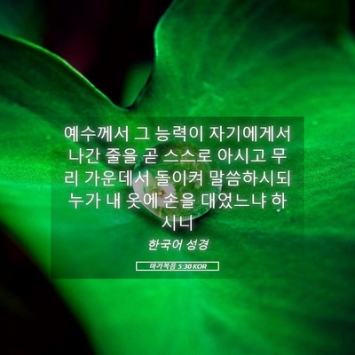 Picture 05 - 마가복음 5:30 KOR - 예수께서 그 능력이 자기에게서 나간 - Bible Verse Picture
