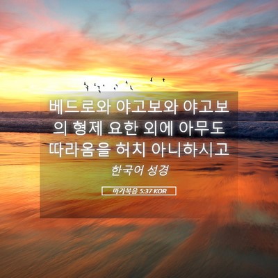 Picture 05 - 마가복음 5:37 KOR - 베드로와 야고보와 야고보의 형제 - Bible Verse Picture