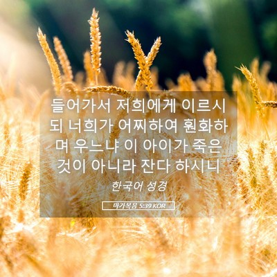 Picture 05 - 마가복음 5:39 KOR - 들어가서 저희에게 이르시되 너희가 - Bible Verse Picture