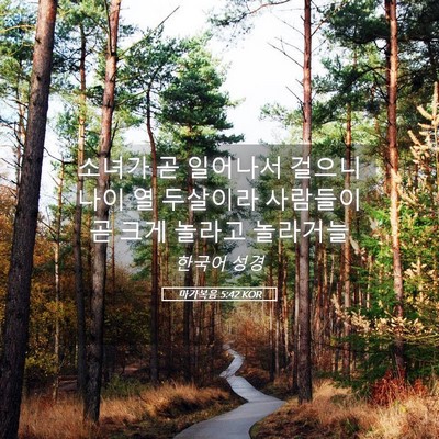 Picture 05 - 마가복음 5:42 KOR - 소녀가 곧 일어나서 걸으니 나이 열 - Bible Verse Picture