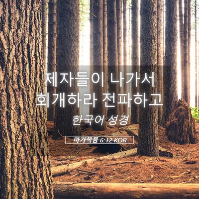 Picture 05 - 마가복음 6:12 KOR - 제자들이 나가서 회개하라 - Bible Verse Picture
