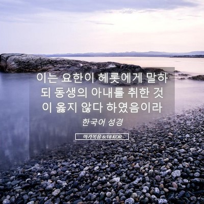 Picture 05 - 마가복음 6:18 KOR - 이는 요한이 헤롯에게 말하되 동생의 - Bible Verse Picture