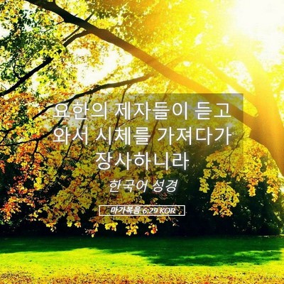Picture 05 - 마가복음 6:29 KOR - 요한의 제자들이 듣고 와서 시체를 - Bible Verse Picture