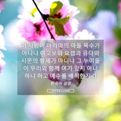 Picture 05 - 마가복음 6:3 KOR - 이 사람이 마리아의 아들 목수가 - Bible Verse Picture