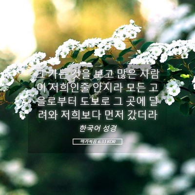 Picture 05 - 마가복음 6:33 KOR - 그 가는 것을 보고 많은 사람이 - Bible Verse Picture