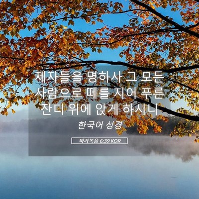 Picture 05 - 마가복음 6:39 KOR - 제자들을 명하사 그 모든 사람으로 - Bible Verse Picture