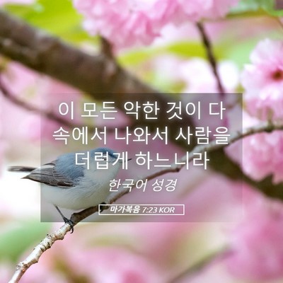 Picture 05 - 마가복음 7:23 KOR - 이 모든 악한 것이 다 속에서 나와서 - Bible Verse Picture