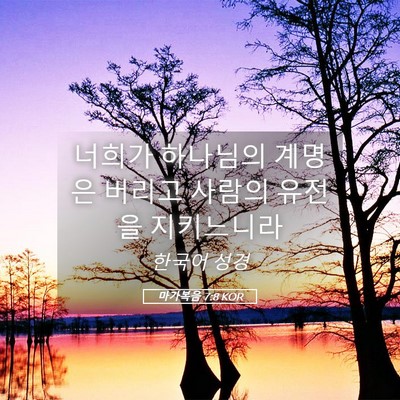 Picture 05 - 마가복음 7:8 KOR - 너희가 하나님의 계명은 버리고 - Bible Verse Picture