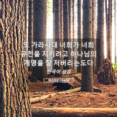 Picture 05 - 마가복음 7:9 KOR - 또 가라사대 너희가 너희 유전을 - Bible Verse Picture