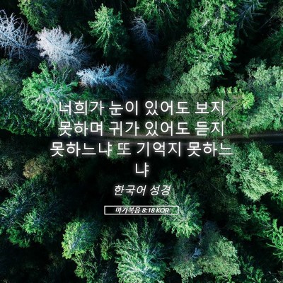 Picture 05 - 마가복음 8:18 KOR - 너희가 눈이 있어도 보지 못하며 - Bible Verse Picture