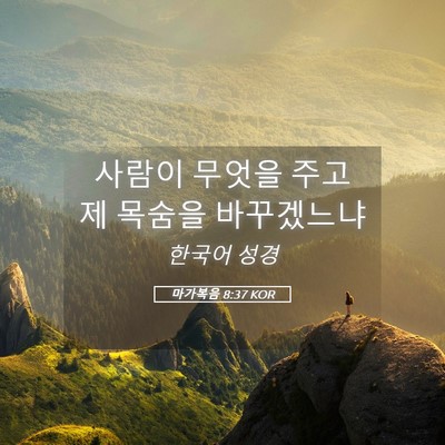 Picture 05 - 마가복음 8:37 KOR - 사람이 무엇을 주고 제 목숨을 - Bible Verse Picture