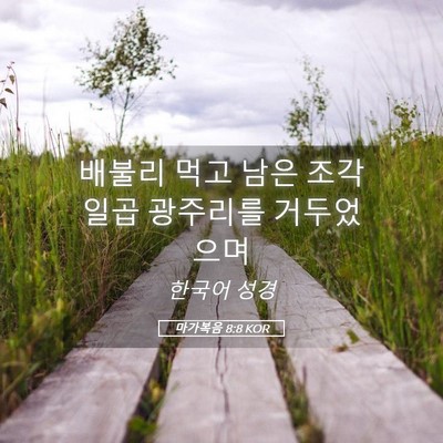 Picture 05 - 마가복음 8:8 KOR - 배불리 먹고 남은 조각 일곱 - Bible Verse Picture