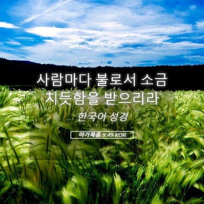 Picture 05 - 마가복음 9:49 KOR - 사람마다 불로서 소금 치듯함을 - Bible Verse Picture