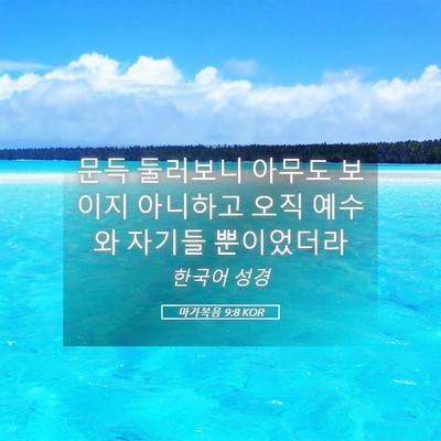 Picture 05 - 마가복음 9:8 KOR - 문득 둘러보니 아무도 보이지 - Bible Verse Picture