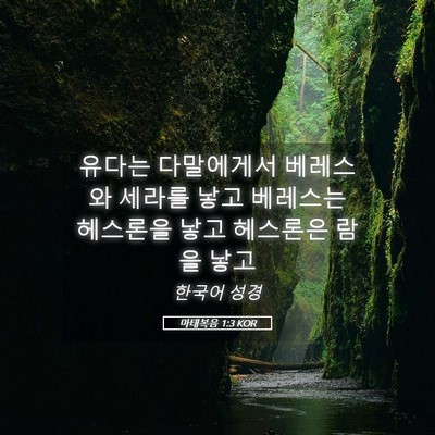 Picture 05 - 마태복음 1:3 KOR - 유다는 다말에게서 베레스와 세라를 - Bible Verse Picture