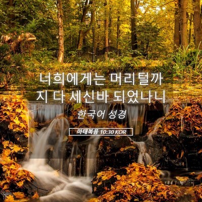 Picture 05 - 마태복음 10:30 KOR - 너희에게는 머리털까지 다 세신바 - Bible Verse Picture
