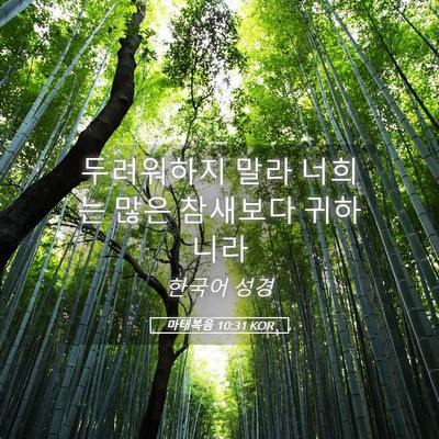 Picture 05 - 마태복음 10:31 KOR - 두려워하지 말라 너희는 많은 - Bible Verse Picture