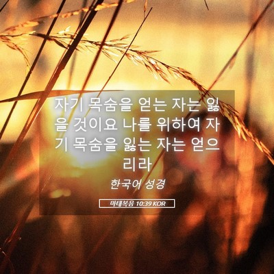 Picture 05 - 마태복음 10:39 KOR - 자기 목숨을 얻는 자는 잃을 것이요 - Bible Verse Picture