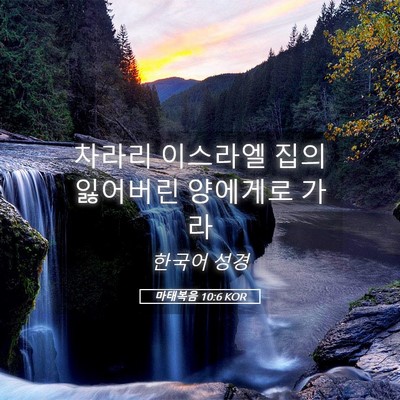 Picture 05 - 마태복음 10:6 KOR - 차라리 이스라엘 집의 잃어버린 - Bible Verse Picture