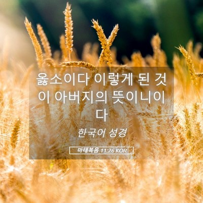 Picture 05 - 마태복음 11:26 KOR - 옳소이다 이렇게 된 것이 아버지의 - Bible Verse Picture