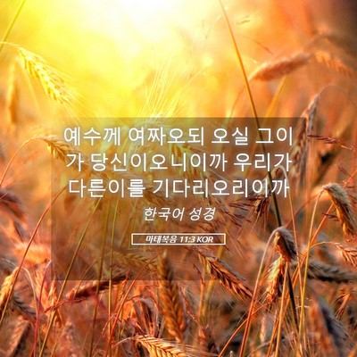 Picture 05 - 마태복음 11:3 KOR - 예수께 여짜오되 오실 그이가 - Bible Verse Picture