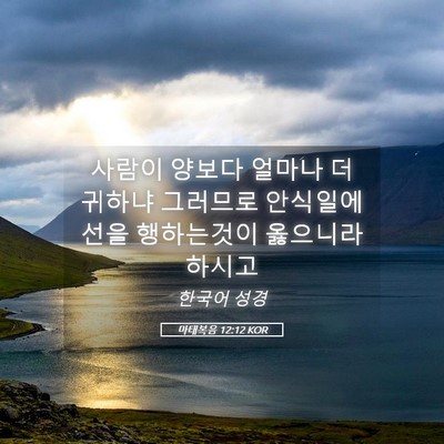 Picture 05 - 마태복음 12:12 KOR - 사람이 양보다 얼마나 더 귀하냐 - Bible Verse Picture