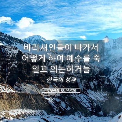 Picture 05 - 마태복음 12:14 KOR - 바리새인들이 나가서 어떻게 하여 - Bible Verse Picture