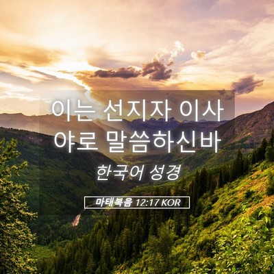 Picture 05 - 마태복음 12:17 KOR - 이는 선지자 이사야로 - Bible Verse Picture