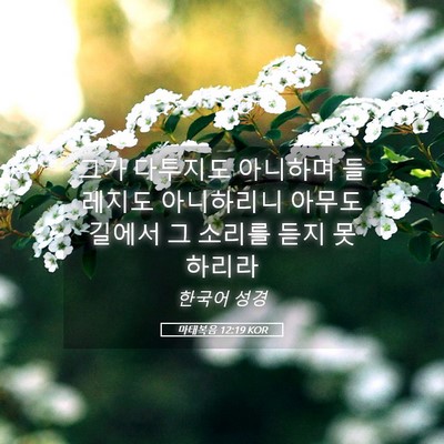 Picture 05 - 마태복음 12:19 KOR - 그가 다투지도 아니하며 들레지도 - Bible Verse Picture
