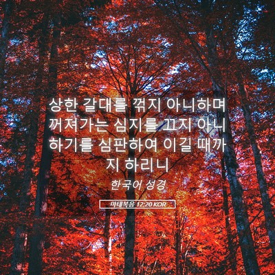 Picture 05 - 마태복음 12:20 KOR - 상한 갈대를 꺾지 아니하며 꺼져가는 - Bible Verse Picture
