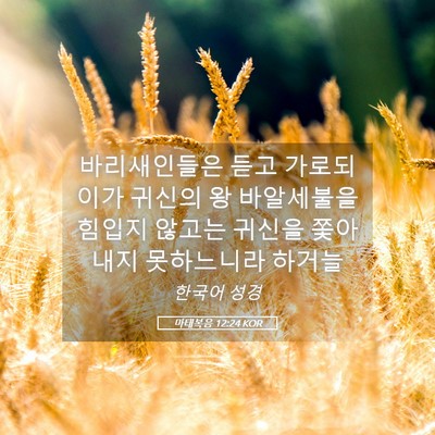 Picture 05 - 마태복음 12:24 KOR - 바리새인들은 듣고 가로되 이가 - Bible Verse Picture